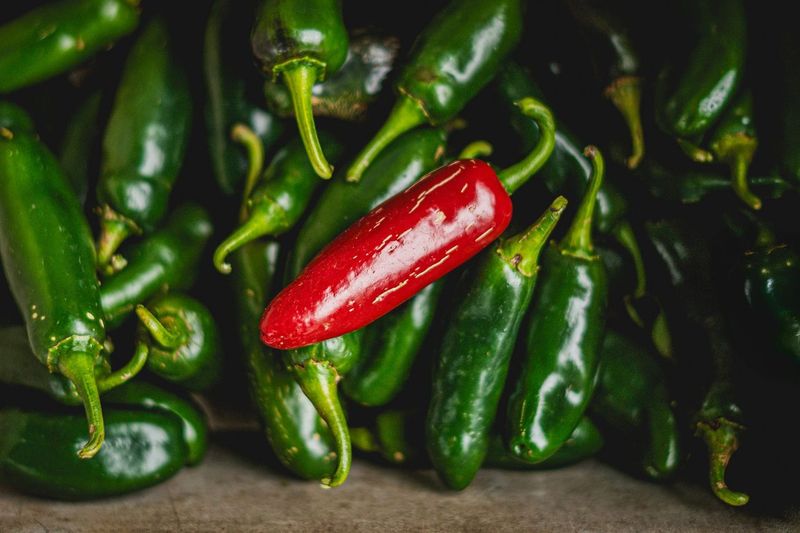 Quick-Pickled Jalapeños From Two Backyard Plants