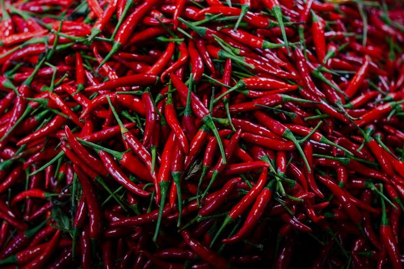 Roasting Hatch Chiles and Freezing Them Flat